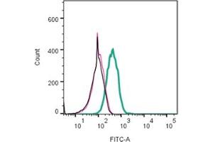 Direct flow cytometry of Apamin in live intact rat  cells.