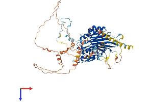 AlphaFold protein structure predicition of Human Recombinant ANGEL1 Protein, UniprotID Q9UNK9