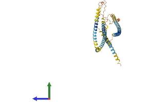 AlphaFold protein structure predicition of Human Recombinant SPZ1 Protein, UniprotID Q9BXG8