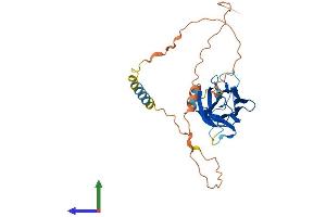 AlphaFold protein structure predicition of Mouse Recombinant Tnfsf9 Protein, UniprotID P41274