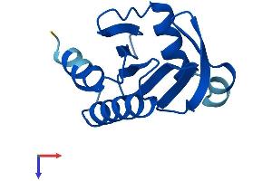 AlphaFold protein structure predicition of Human Recombinant PFN4 Protein, UniprotID Q8NHR9