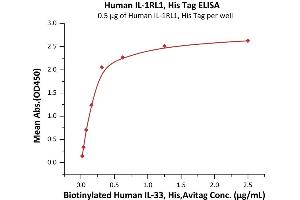 Immobilized Human IL-1RL1, His Tag (ABIN2181366,ABIN2181365) at 5 μg/mL (100 μL/well) can bind Biotinylated Human IL-33, His,Avitag (ABIN6973124) with a linear range of 0.