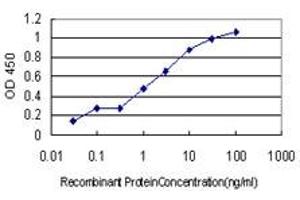 Detection limit for recombinant GST tagged GCH1 is approximately 0.