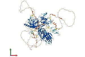 AlphaFold protein structure predicition of Mouse Recombinant Capn15 Protein, UniprotID Q9JLG8