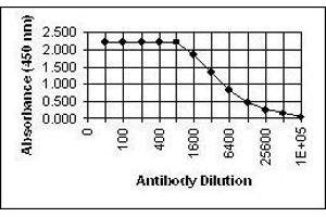ELISA image for anti-Glycoprotein I (US7) antibody (ABIN265608) (Glycoprotein I anticorps)