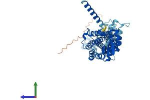 AlphaFold protein structure predicition of Human Recombinant COPS2 Protein, UniprotID P61201