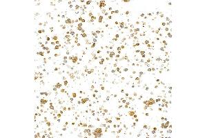 Immunocytochemistry (ICC) image for anti-CD79b Molecule, Immunoglobulin-Associated beta (CD79B) (AA 200-250) antibody (ABIN7454006) (Recombinant CD79b anticorps  (AA 200-250))