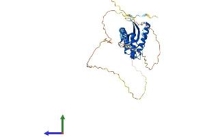 AlphaFold protein structure predicition of Human Recombinant SNX16 Protein, UniprotID P57768