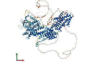 AlphaFold protein structure predicition of Human Recombinant SOS2 Protein, UniprotID Q07890