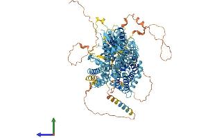 AlphaFold protein structure predicition of Human Recombinant SLC4A8 Protein, UniprotID Q2Y0W8