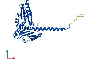 AlphaFold protein structure predicition of Human Recombinant ARPC2 Protein, UniprotID O15144