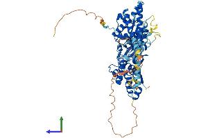 AlphaFold protein structure predicition of Mouse Recombinant Actr5 Protein, UniprotID Q80US4