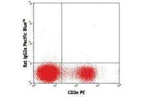 Flow Cytometry (FACS) image for anti-V alpha 2 TCR antibody (Pacific Blue) (ABIN2662372) (V alpha 2 TCR anticorps (Pacific Blue))