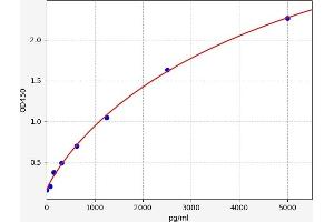 Typical standard curve (MBLAC1 Kit ELISA)