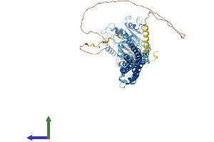 AlphaFold protein structure predicition of Human Recombinant DNM1L Protein, UniprotID O00429