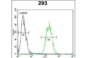 SACA1 Antibody (N-term) (ABIN654730 and ABIN2844418) flow cytometric analysis of 293 cells (right histogram) compared to a negative control cell (left histogram). (SPACA1 anticorps  (N-Term))