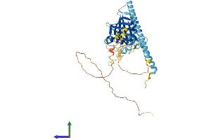 AlphaFold protein structure predicition of Mouse Recombinant Ppan Protein, UniprotID Q91YU8