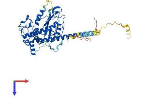 AlphaFold protein structure predicition of Mouse Recombinant Hs6st1 Protein, UniprotID Q9QYK5