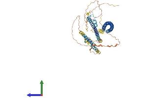 AlphaFold protein structure predicition of Mouse Recombinant Ccdc125 Protein, UniprotID Q5U465