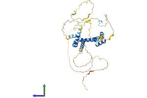 AlphaFold protein structure predicition of Mouse Recombinant Cuedc1 Protein, UniprotID Q8R3V6