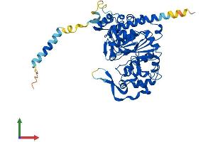 AlphaFold protein structure predicition of Mouse Recombinant Gcnt4 Protein, UniprotID E9Q649