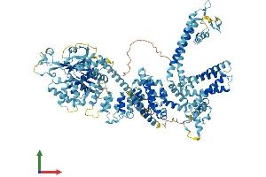 AlphaFold protein structure predicition of Mouse Recombinant Trpm8 Protein, UniprotID Q8R4D5