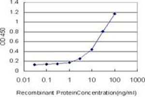 Detection limit for recombinant GST tagged STAT5B is approximately 0. (STAT5B anticorps  (AA 678-787))