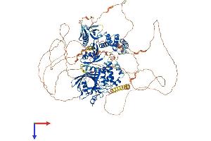 AlphaFold protein structure predicition of Human Recombinant PTPN14 Protein, UniprotID Q15678