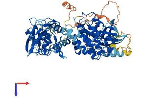 AlphaFold protein structure predicition of Human Recombinant ZAP70 Protein, UniprotID P43403