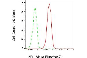 Flow cytometric analysis of NMI expression in HT- cells using NMI antibody (ABIN7799535), 1:2,000). (Recombinant NMI anticorps)