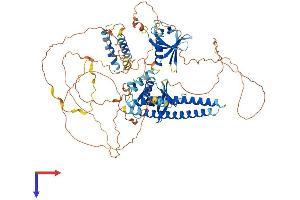 AlphaFold protein structure predicition of Human Recombinant AFAP1L1 Protein, UniprotID Q8TED9