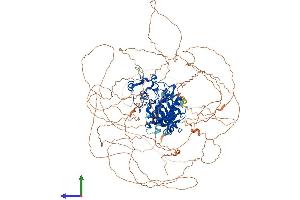 AlphaFold protein structure predicition of Mouse Recombinant Hipk2 Protein, UniprotID Q9QZR5
