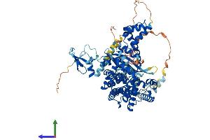 AlphaFold protein structure predicition of Human Recombinant ZBED1 Protein, UniprotID O96006