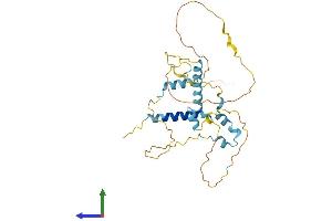 AlphaFold protein structure predicition of Mouse Recombinant Fam110a Protein, UniprotID Q8R184