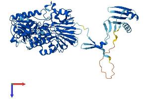AlphaFold protein structure predicition of Human Recombinant INTS9 Protein, UniprotID Q9NV88