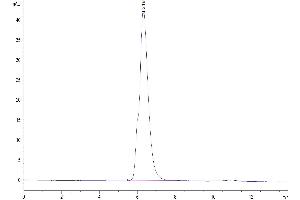 The purity of Human NKG2A&CD94 is greater than 95 % as determined by SEC-HPLC.