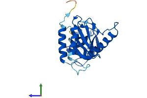 AlphaFold protein structure predicition of Mouse Recombinant Trappc4 Protein, UniprotID Q9ES56
