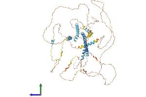 AlphaFold protein structure predicition of Human Recombinant CNST Protein, UniprotID Q6PJW8