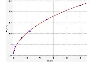 Triggering Receptor Expressed On Myeloid Cells 2 (TREM2) ELISA Kit