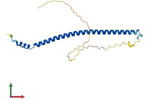 AlphaFold protein structure predicition of Mouse Recombinant Kxd1 Protein, UniprotID Q80XH1