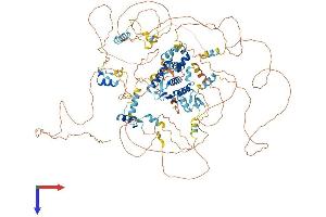 AlphaFold protein structure predicition of Mouse Recombinant Tshz1 Protein, UniprotID Q5DTH5