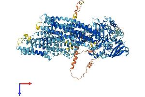 AlphaFold protein structure predicition of Mouse Recombinant Abcc3 Protein, UniprotID B2RX12