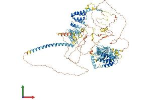 AlphaFold protein structure predicition of Human Recombinant BUB1B Protein, UniprotID O60566
