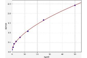 Typical standard curve (SLC5A2 Kit ELISA)