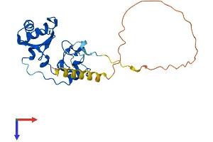 AlphaFold protein structure predicition of Mouse Recombinant Snrnp35 Protein, UniprotID Q9D384