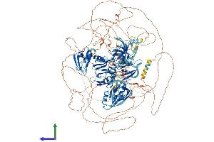 AlphaFold protein structure predicition of Human Recombinant MAGI2 Protein, UniprotID Q86UL8