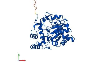 AlphaFold protein structure predicition of Human Recombinant SULT1A1 Protein, UniprotID P50225