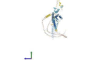 AlphaFold protein structure predicition of Mouse Recombinant Luc7l3 Protein, UniprotID Q5SUF2