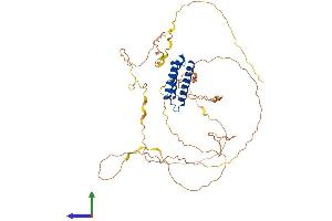 AlphaFold protein structure predicition of Mouse Recombinant Bag4 Protein, UniprotID Q8CI61