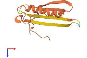 AlphaFold protein structure predicition of Human Recombinant RIG Protein, UniprotID Q13278